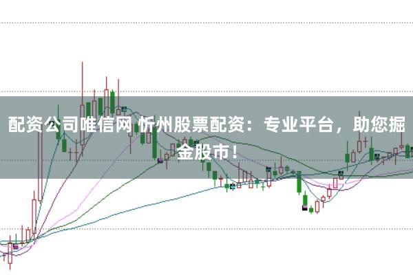 配資公司唯信網(wǎng) 忻州股票配資：專(zhuān)業(yè)平臺(tái)，助您掘金股市！